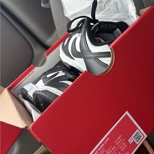 Nike Dunk Low Classic Black and White Shoes